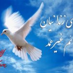 ۶ زندانی جرائم غیرعمد از زندان تبریز آزاد شدند ۶ زندانی جرائم غیرعمد از زندان تبریز آزاد شدند