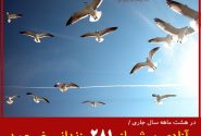 آزادی ۲۸۱ زندانی جرایم غیرعمد طی ۸ ماهه سالجاری از زندانهای آذربایجان شرقی
