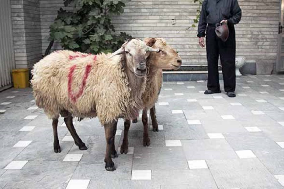 اهدای هزینه قربانی به جای ذبح دام، آزادی دو زندانی غیرعمد را در تبریز رقم زد